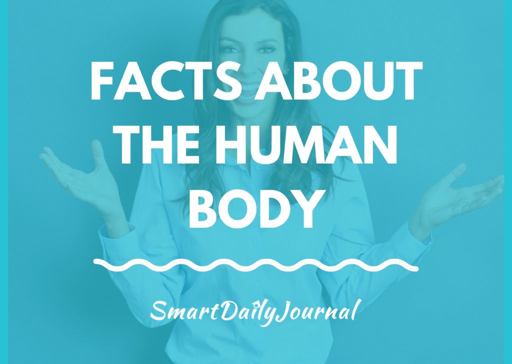 Facts About Human Body - 167 Interesting & Fascinating Facts Human Body Facts